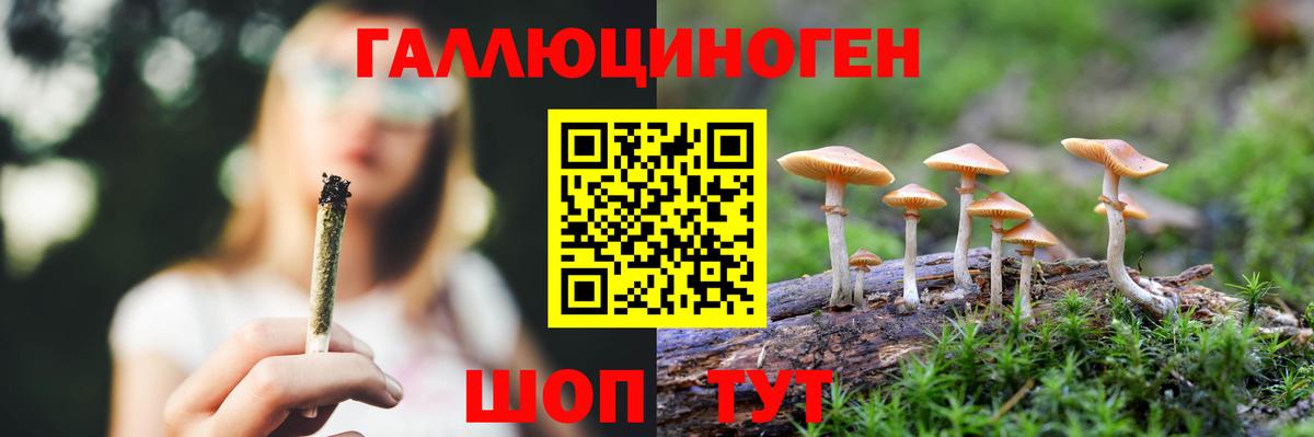 Камень-на-Оби  Псилоцибиновые грибы MAGIC MUSHROOMS  Псилоцибиновые грибы Psilocybe  Вход с VPN 